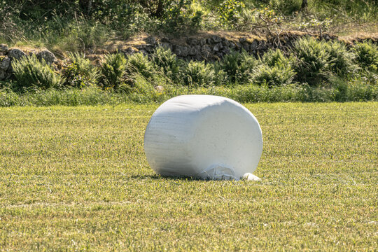 White wrapped silage bale resting on green summer meadow.
