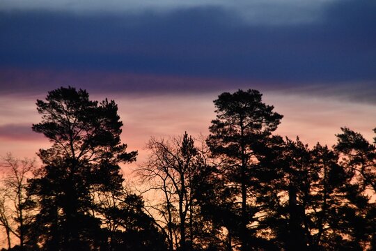 The beautiful and colorful sky.