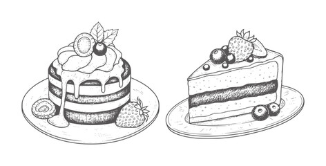 Two hand drawn cakes with berries and cream plates dessert food sweet berry © Asha