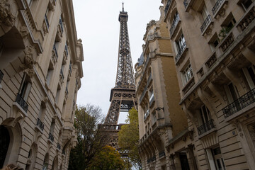 Fototapeta premium Walking in Paris in autumn, view on streets and buildings and iconic Eiffel tower in daytime