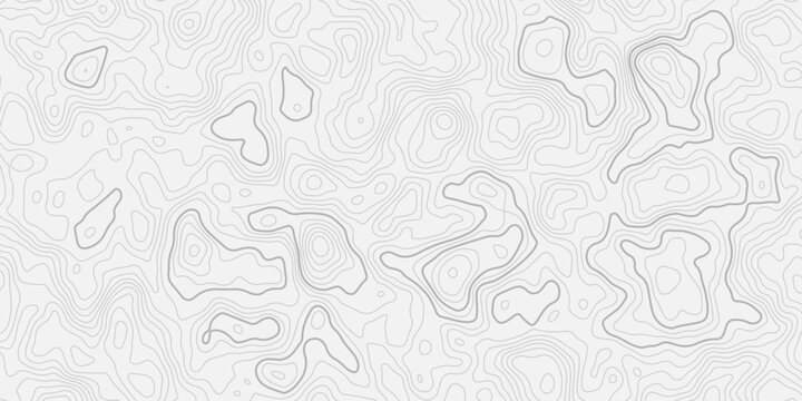 Detailed Topographic Contour Map Design with Flowing Elevation Lines and Organic Terrain Structure
Seamless White Background Pattern Ideal for Modern Graphic, Print, and Digital Use