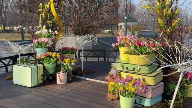 Multicolored tulips in the garden