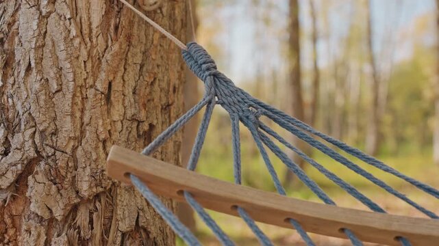 Closeup of camping knot attention. Morning sunlight highlights rustic campsite with tied rope and trees. View of forest campsite with detailed knot securing wooden support in morning sunlight