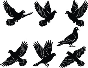 Fototapeta premium Collection of flying and standing pigeon silhouettes featuring detailed dove wings in flight for peace symbols nature wildlife urban bird life wedding celebrations