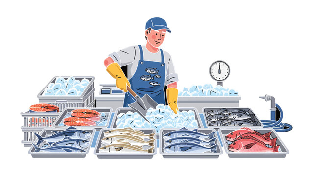 Fishmonger at Work: A fishmonger meticulously arranges and presents a colorful array of fresh seafood, maintaining the freshness of the product by adding ice.