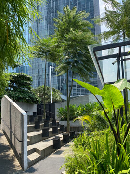 Jakarta, Indonesia - March 29, 2026: Outdoor seating area at Common Ground Menteng Terra with skyscrapers and Cyathea contaminans tropical ornamental plants.