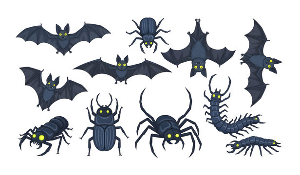 Collection of Black insects and bats decoration set.