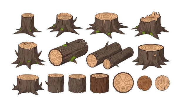 Collection of various tree log cuts.