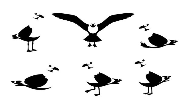 Coastal seagull cartoon bird wildlife vector illustration set