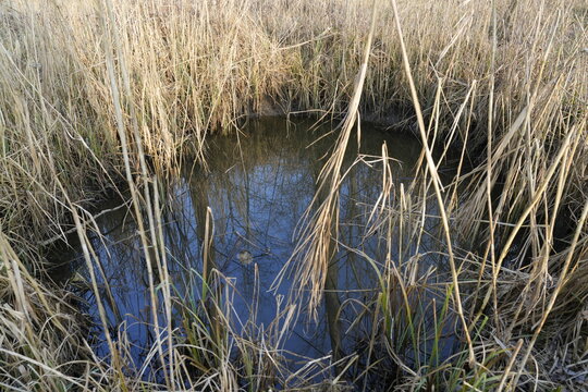 POZZA D'ACQUA NEL CANNETO