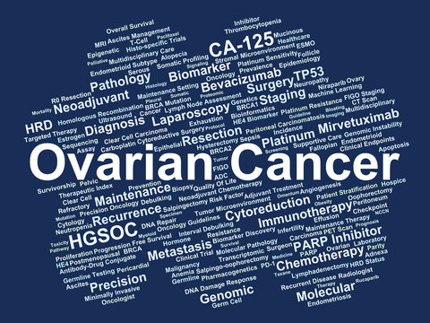 Ovarian Cancer Word Cloud. An Integration of Histological Subtypes, Genomic HRD Profiling, Surgical Cytoreduction, and Targeted PARP Inhibitor Strategies in Modern Gynecologic Oncology.