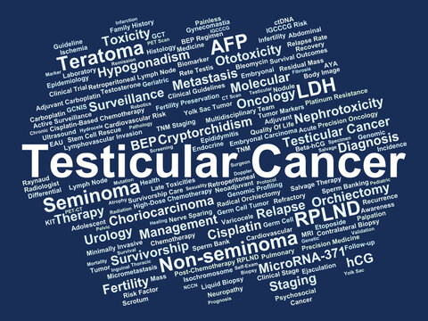 Testicular Cancer Word Cloud. A Visual Map of Diagnostic Markers, Histological Subtypes, Surgical Interventions, and Chemotherapeutic Strategies in Modern Urologic Oncology and Survivorship.