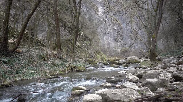 Turda, Romania The beautiful Turda Gorge, Cheile Turzii, in Romanian,  with forest and streams.