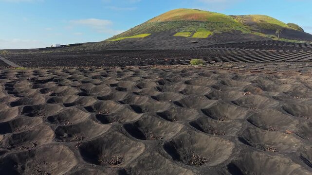 Aerial view of unique volcanic vineyards on El Hierro island in Spain, stone walls protect the vines from the wind. Volcanic soil agriculture on the island of El Hierro in the Canary Islands, Spain