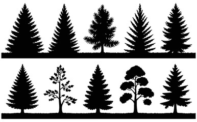 Obraz premium Various pine tree silhouettes black white