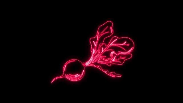 Red Neon Outline of a Radish with Leaves on Black Background beet root vegetable