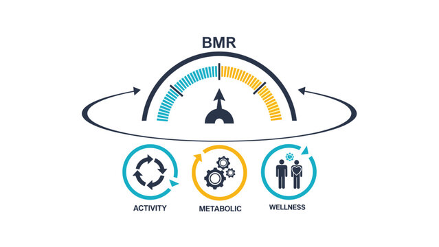 Basal metabolic rate gauge with activity, metabolic, and wellness icons provides a health and fitness overview for physical goals.