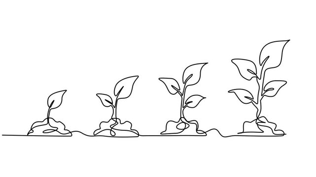 plant growing process symbol sign continuous one line drawing animation, plant growing line art doodle draw process whiteboard symbol sign concept, plant growing line art doodle draw process