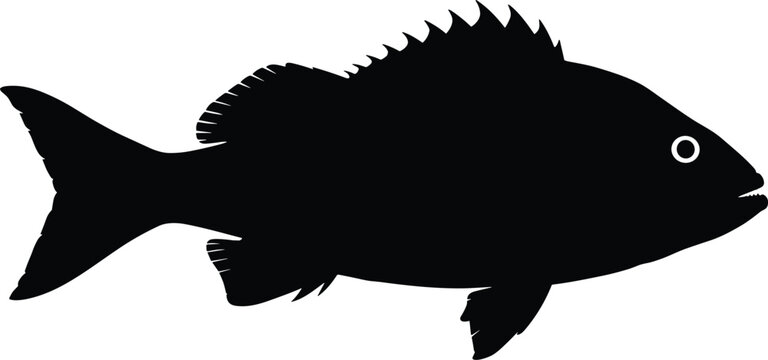 Black silhouette of a snapper fish with detailed fins and tail isolated on a white background for fishing industry seafood market and restaurant design