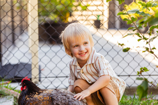 Happy little Australian boy patting hen in suburban chook yard