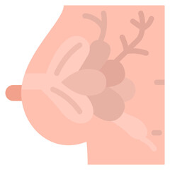 Obraz premium Human breast anatomy flat icon, anatomical mammary gland illustration for medical and reproductive health education