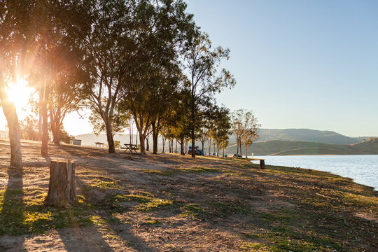 Lake shoreline at sunset with picnic tables and gum trees beside blue water