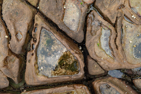 Water caught in small rock pools at the beach with curious patterns