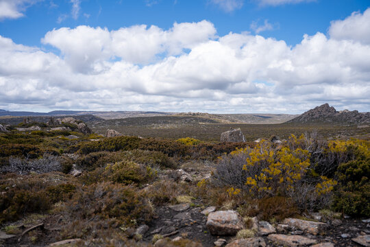 Ben Lomond National Park