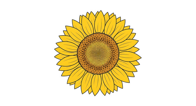 A vibrant yellow sunflower icon with a brown center, designed in a flat and minimal style.