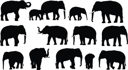 Elephant silhouettes collection, wild animal illustrations, jungle wildlife art, safari elephant shapes, black vector elephants, family group silhouettes, nature design © Mohasina Art