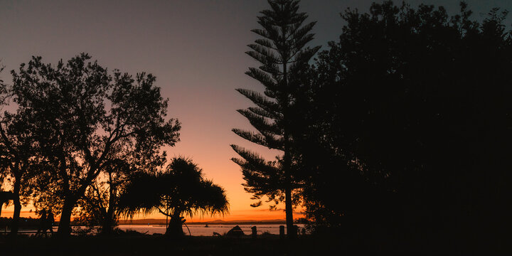 Silhouette of trees against a vibrant sunset over the ocean in Yamba NSW
