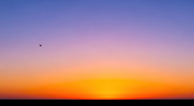 Serene Sunset Horizon with Single Bird Silhouette in Sky