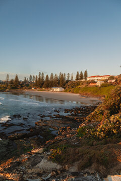 Coastal town with beach and ocean waves at sunrise, framed by Norfolk pines and rocky shore