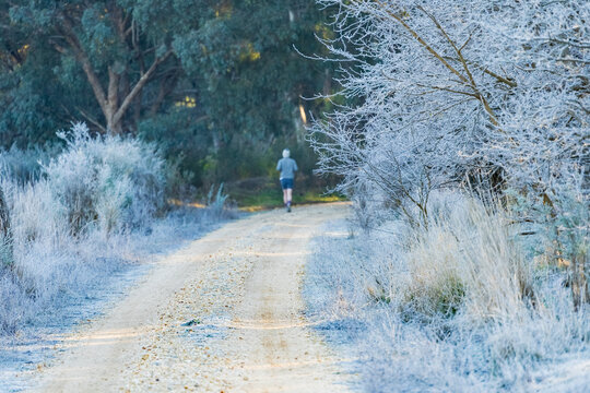 A lone runner on a gravel road between trees and grass covered in a heavy frost