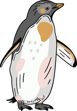 Penguin walking illustration in vector with isolated background
