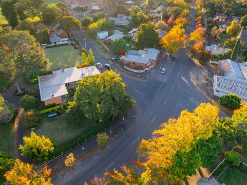 Aerial view of colourful Autumn trees lining an intersection in a country town