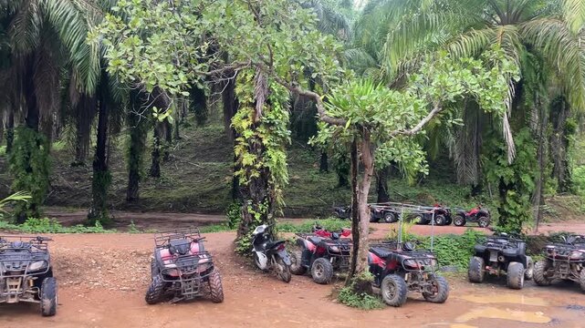 Row of ATV quad bikes parked waiting for tourists at an adventure activity site in Phuket Thailand.