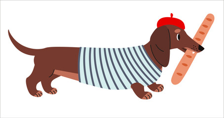Cute dachshund wearing striped shirt and beret with baguette. Flat vector illustration of sausage dog in French style outfit, perfect for playful prints, travel themes or kids designs. © Diana