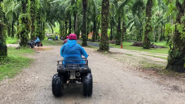 Tourists in convoy on ATV quad bikes riding through tropical palm forest in Phuket Thailand, group adventure activity.