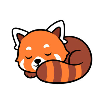Cute Red Panda Sleeping Cartoon Illustration