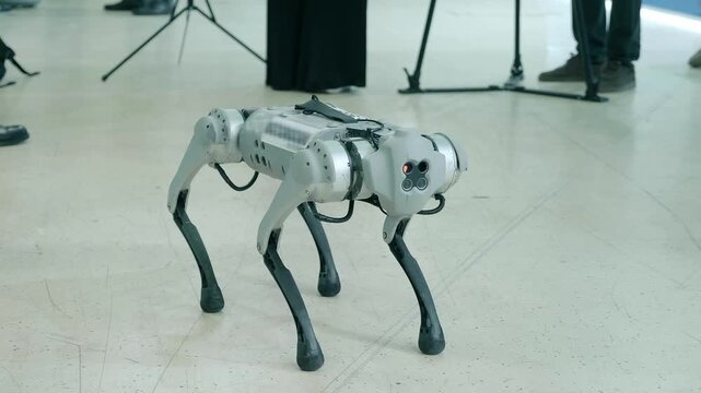 Four-Legged Robot dog - mechanical device with AI, behavior of a living creature. Closeup
