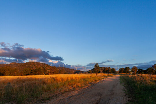 golden sunset light on wind turbines along horizon