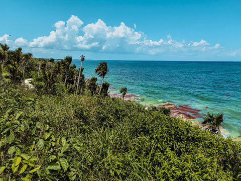 Tropical coastline of Tulum with lush jungle and turquoise Caribbean Sea in Mexico.