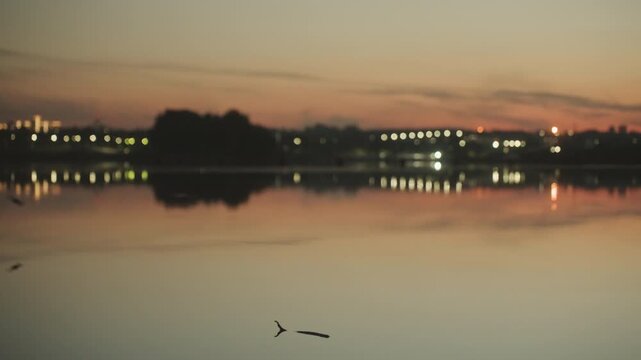 Birds skimming lake, camping dusk lights. Lowflying birds glide over reflective water with shimmering city lights and pastel sky, motionfilled evening, dynamic ripples, subtle silhouettes