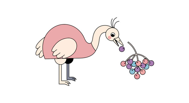 Cartoon ostrich in pink eats berries from a stem. Simple, minimalist design on white