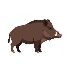 Fototapeta premium Wild boar standing profile view