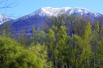 Fototapeta premium Locarno - Maggia - Bergpanorama - Lago Maggiore