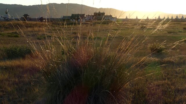 Ancient Mongolian monastery at sunset. Monastery Of Erdene Zuu. Kharkhorin, Mongolia. Sunny summer evening.
