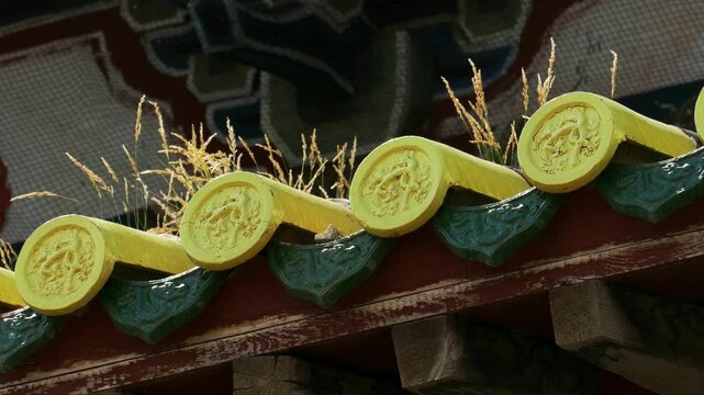 Tiles on the roof of an ancient Buddhist pagoda, overgrown with grass. One of the temples of  Erdene Zuu monastery, Kharkhorin, Mongolia.