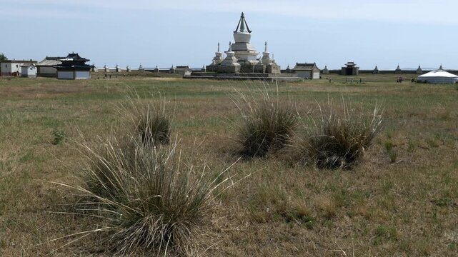 A picturesque shrub of grass on the background of a large stupa of an ancient Buddhist monastery Erdene
Zuu. Kharkhorin, Mongolia. The stupa is a sacred Buddhist structures. Sunny summer day.
